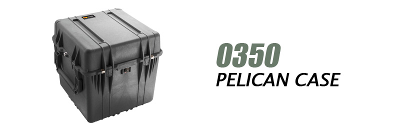 Pelican Case 0350